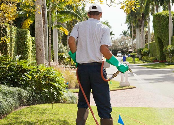 About Saddle Brook NJ Pest Control Pros